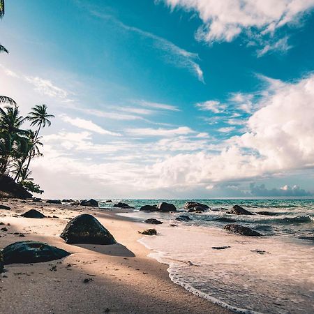 Villa Caylee Caribbean Estates - Ultra-Luxurious - Rimas Interiors Designs - Private Beachfront Escape - Premium Serviced For 8 Guests ポート・エドワード エクステリア 写真